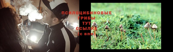 молекула духа Балабаново