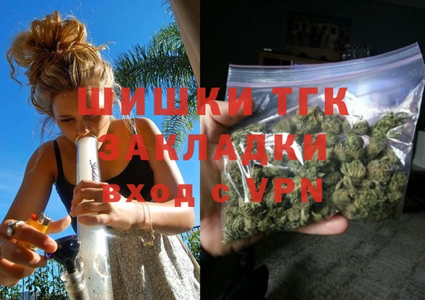 гидра Каменногорск