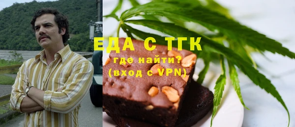 индика Балахна