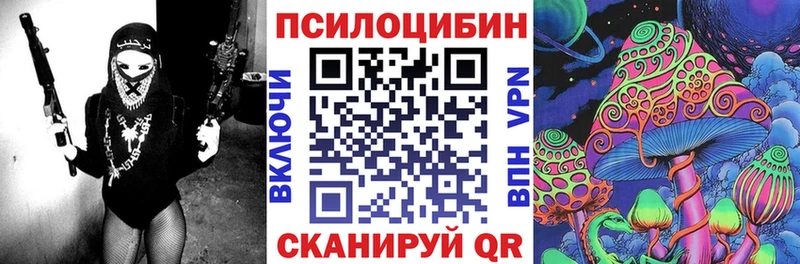 это какой сайт  Бологое  Галлюциногенные грибы Magic Shrooms 
